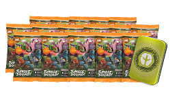 Jungle Squad Cards