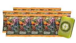 Jungle Squad Cards